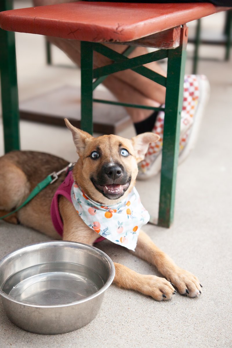 What would you caption this picture of this crazy eyed cutie?