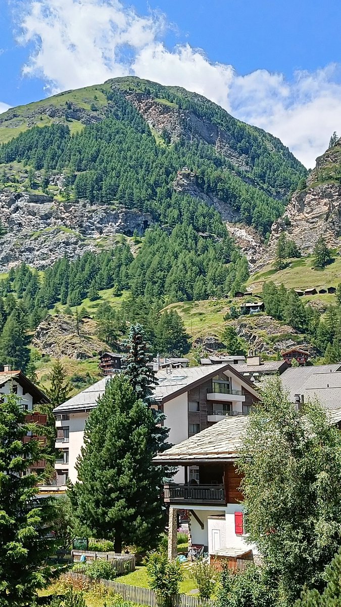 Will Taylor tweet media