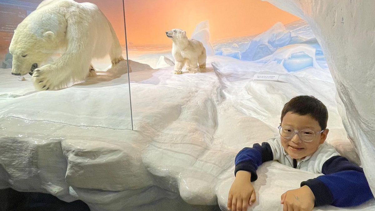 museedelanature's tweet photo. Nous sommes ravis de vous annoncer que le @museedelanature est un partenaire de @canoopass ! 🎉 Nouveaux citoyens et résidents permanents du Canada, cela signifie que vous pouvez explorer nos expositions gratuitement ou à prix réduit ! En savoir plus ici: https://t.co/aN88GWGmOQ https://t.co/R9EhpJN6tP