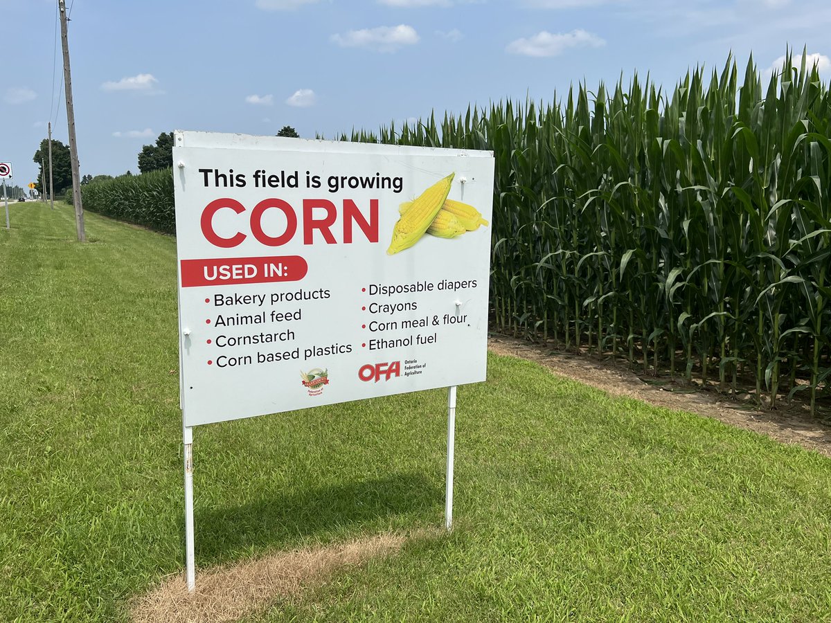 kellydaynard's tweet photo. Hats off to the Brant Federation of Agriculture, supported by @OntarioFarms, on these great road signs displayed on roadsides along my route today. They contain such terrific info. https://t.co/ByQV3gD4EW
