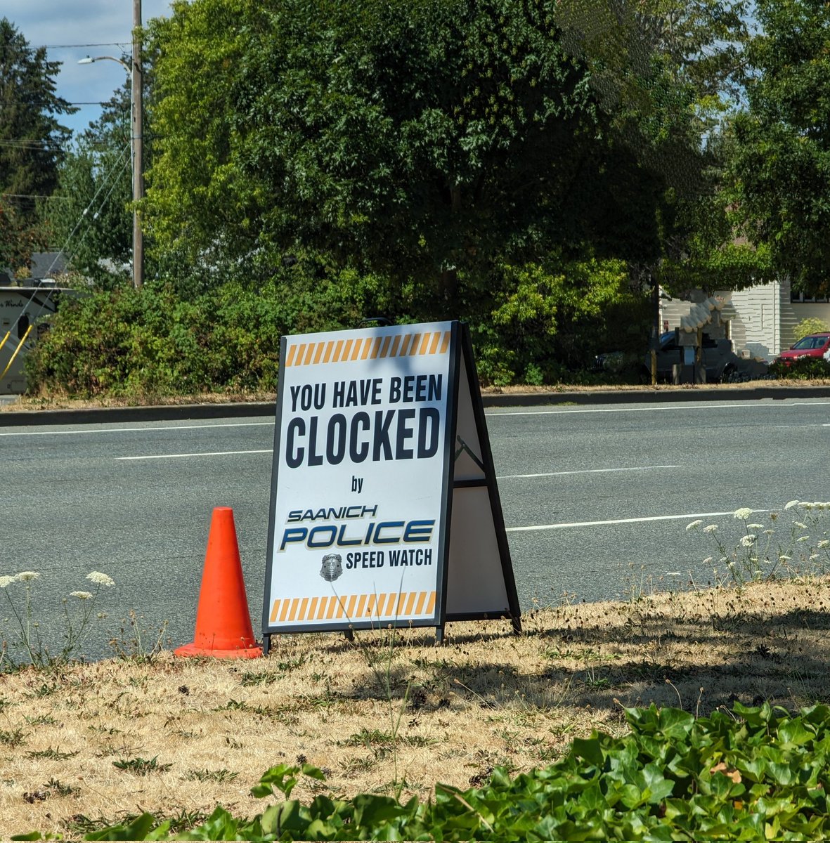 Michele (DCI Vera & DI Ash fan)🕵️‍♀️ tweet media