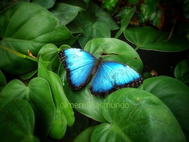 GdViajes's tweet photo. Costa Rica, naturaleza que enamora https://t.co/KQKR3d9nfK https://t.co/mGdDjs3Nbz