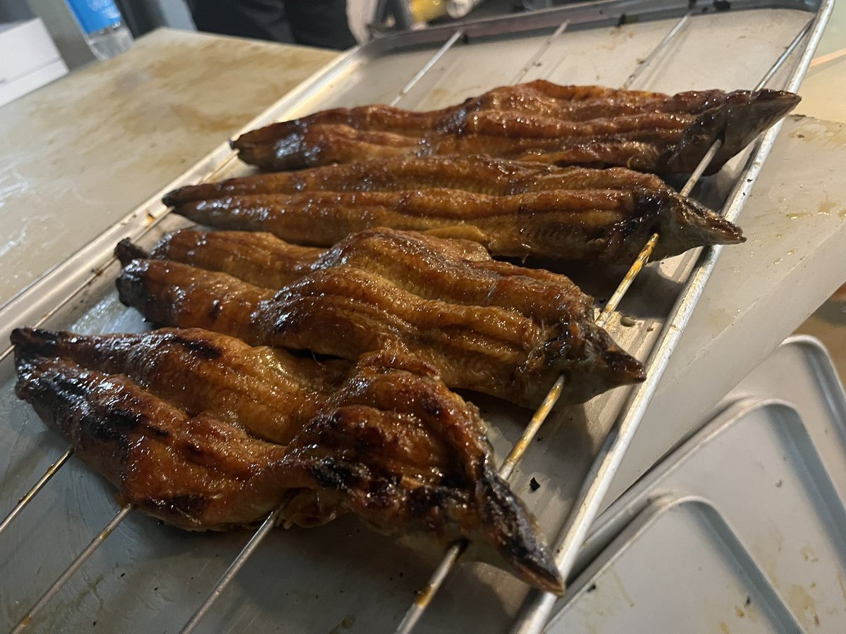 京都中央卸売市場 魚肴屋だいしめ🐟 tweet media