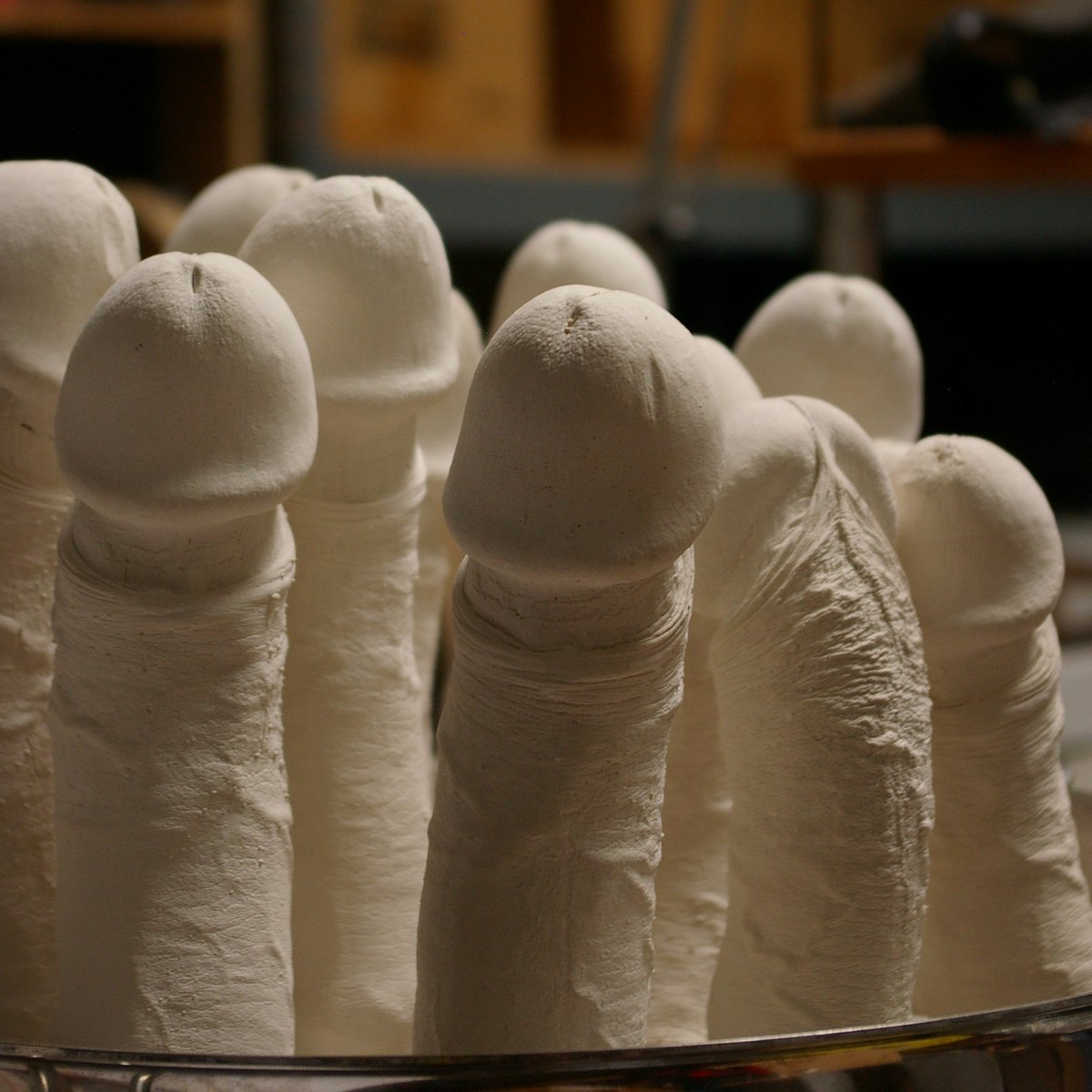 The Ding Dong City. A lot of plaster castings from a real penis. It takes a lot of attempts and lots of expensive material to get the right one. Send me a message if you want a custom dildo.