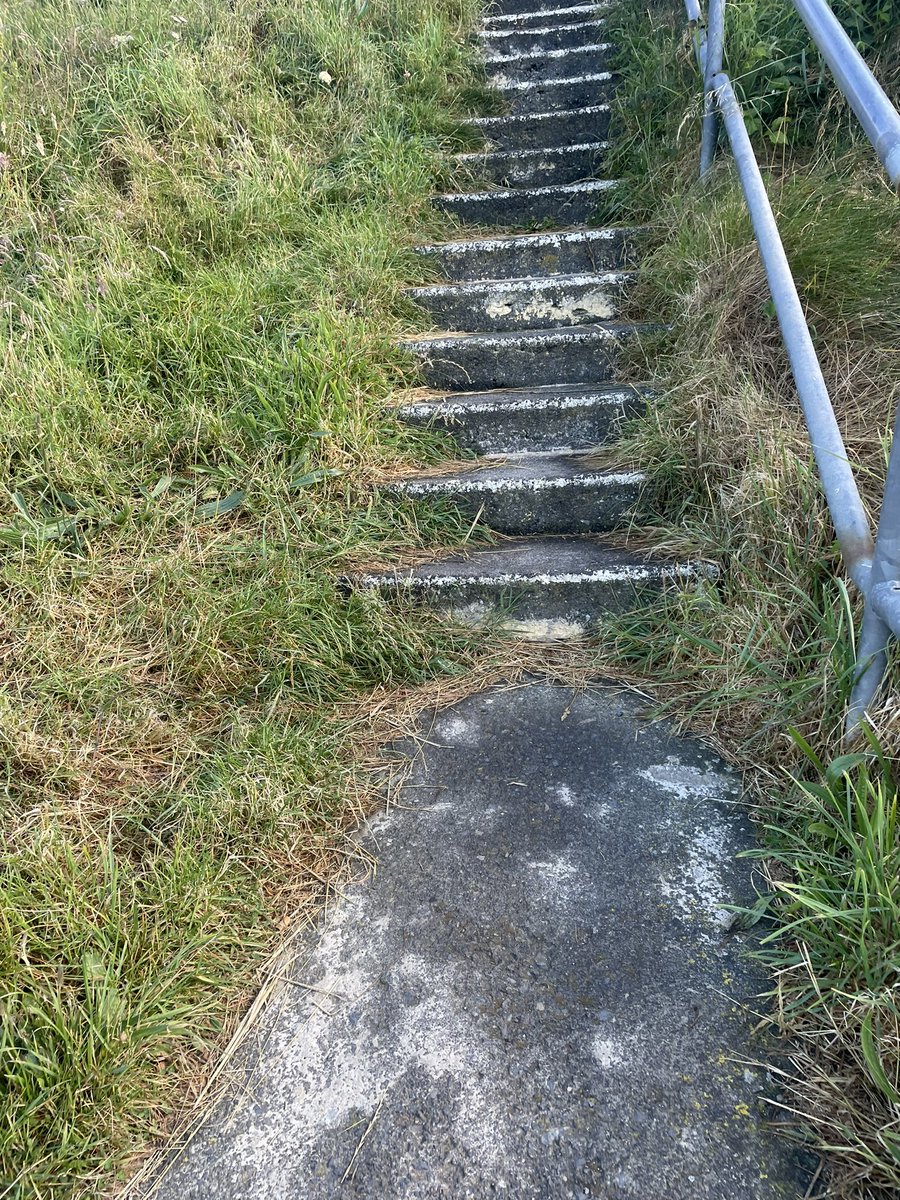 Not a fan of this let it grow policy adopted by local councils. Rural roads not safe for pedestrians with hedges overgrown and these are the steps to Newtown Cove .Not nice to look at but also not safe.Also vital road signage and warnings now hidden behind overgrowth on our roads