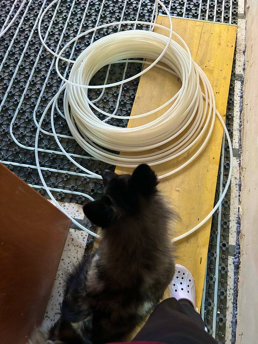 PawSpitzfamily's tweet image. Kira at work 😂🚧 She makes sure everything is done well 👷‍♂️🔍

#dogwork #constructionside #dogofx