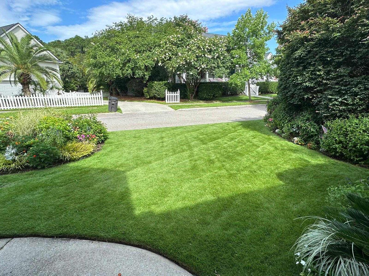 PleasantScapes's tweet photo. Beautiful green lawn maintained by our team ☀️

#lawncare #greenlawn #lawnmaintenance #lowcountrysc https://t.co/3mghDAOEHu