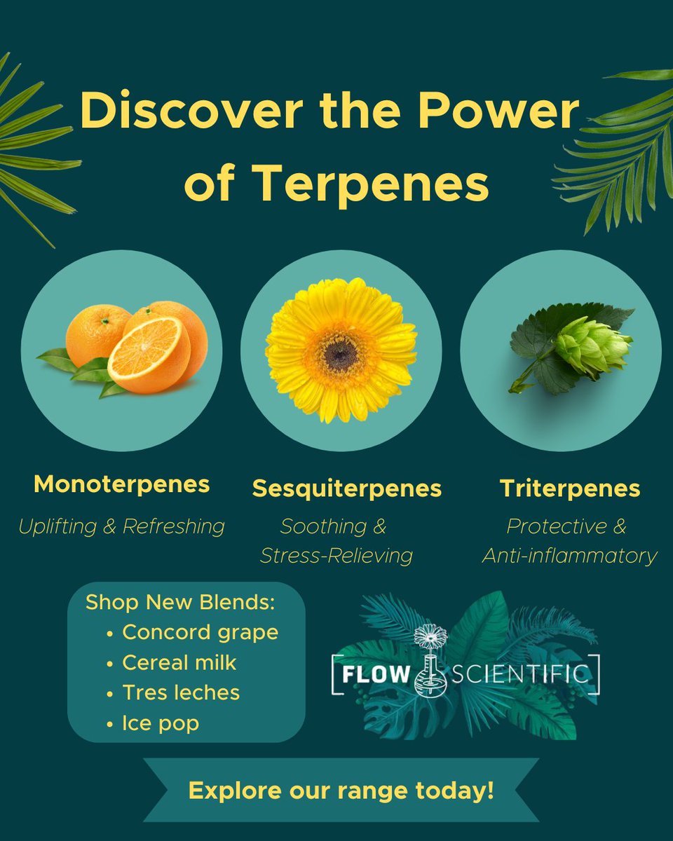 🌿 Discover the Power of Terpenes! 🌿
From uplifting monoterpenes to soothing sesquiterpenes and protective triterpenes, our terpenes offer a world of benefits. Enhance your products with the natural goodness of our premium terpenes.
