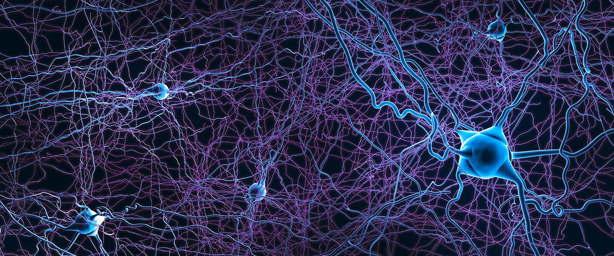 DanLewisFndtn's tweet photo. Scientists worldwide are working to find ways to stimulate healing and functional recovery after severe brain injuries. This work is driven by the desperate needs of persons who have suffered brain damage. Read more https://t.co/1h1XVUF5dI https://t.co/aMjwuVoK0p