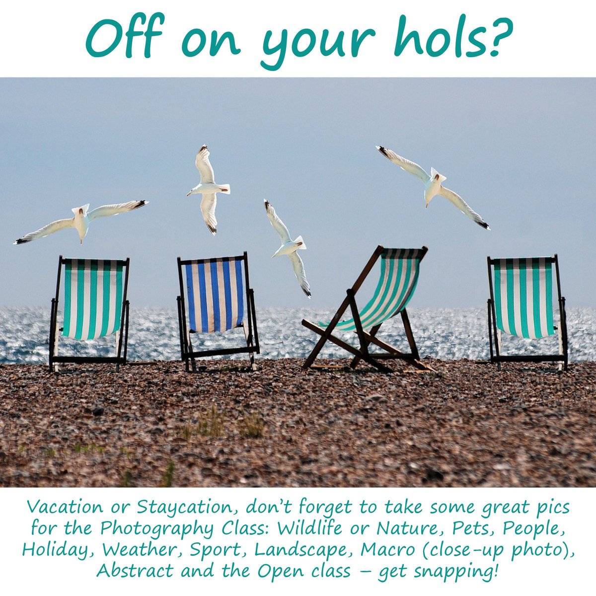 Corsley Fayre (@corsleyfayre) on Twitter photo 