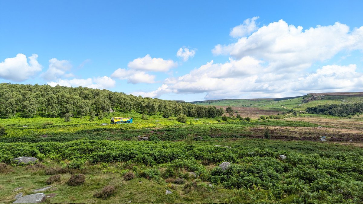 David Pearson tweet media