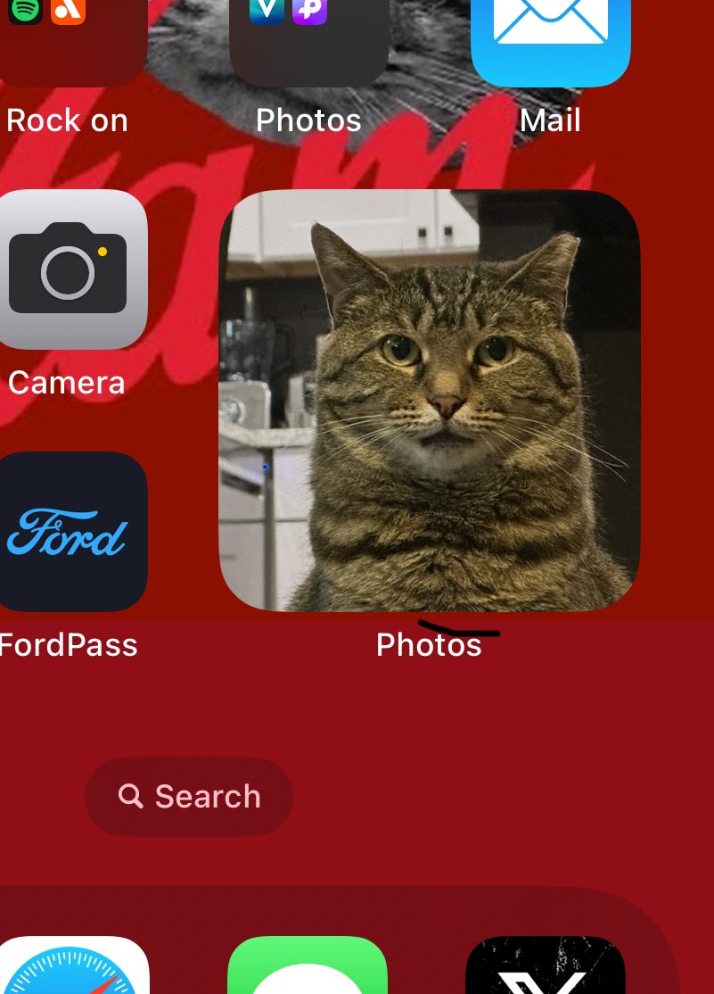 Stray Liotta, Hey Spots! tweet media