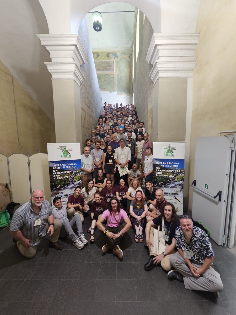 Say stonefly/mayfly #IJMEP2024