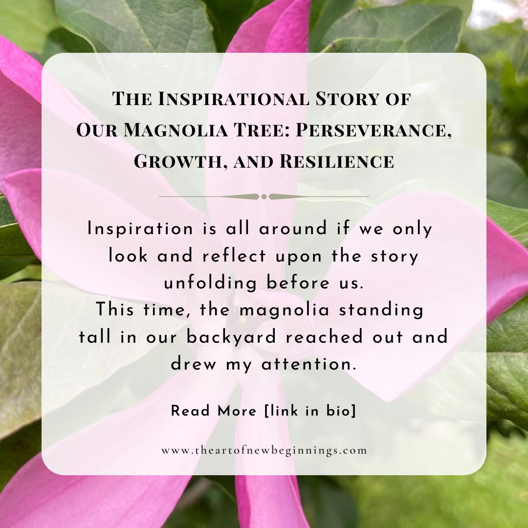 It's been a while. Today is as good a day as any to ease back and see what you've all been up to.
Sharing this latest post, inspired by the magnolia tree in our backyard.
#blog  #theartofnewbeginnings #resilience #mentalhealth #strength #perseverance 

wp.me/pbCZ2S-4w9