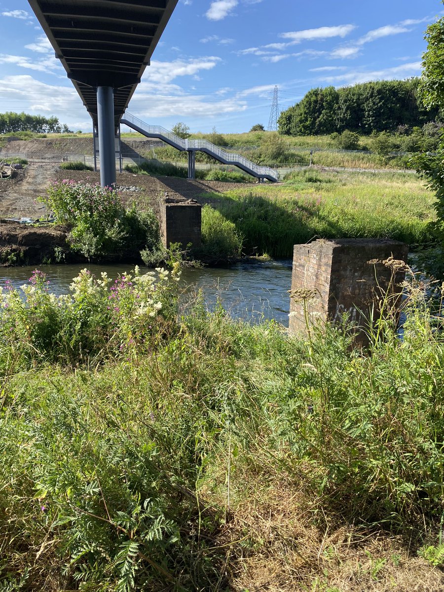 Bayview71's tweet image. Out with the old …#RiverLeven