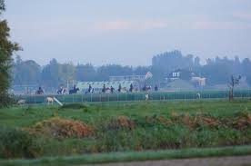 cda.nl/zuid-holland/h…

Wij wensen iedereen een mooie tijd toe. Je hoeft niet ver weg om van mooie natuur te genieten. Pak de fiets, trek er op uit. Doe de wandelschoenen aan! Hillegom, de Bollenstreek, zee, duinen en bos, onze polders, onze parken. Geniet van al het moois!