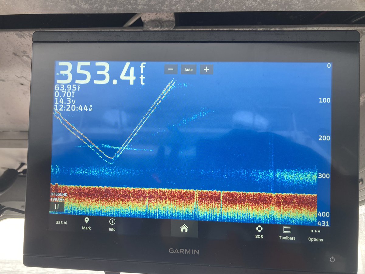 Dr. Tricia Thibodeau tweet media