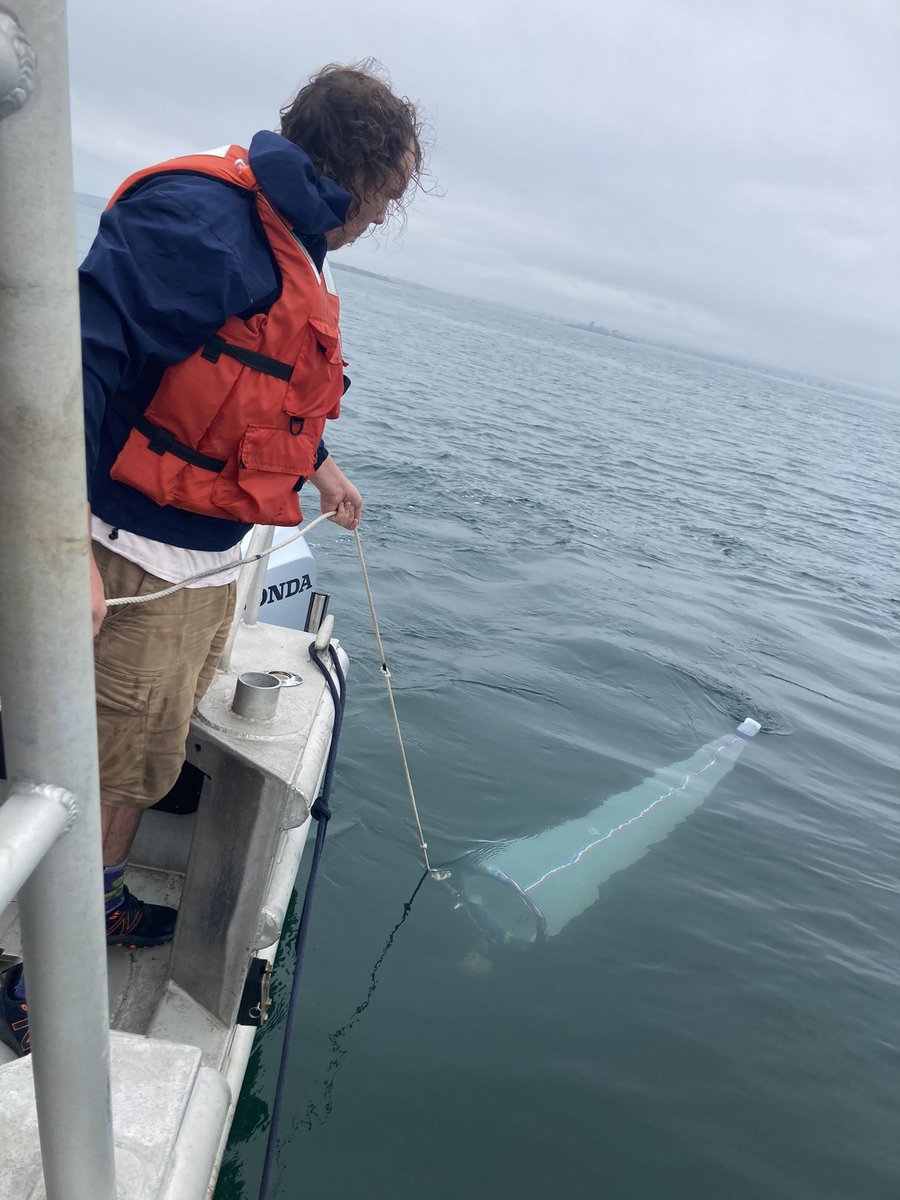 Dr. Tricia Thibodeau tweet media