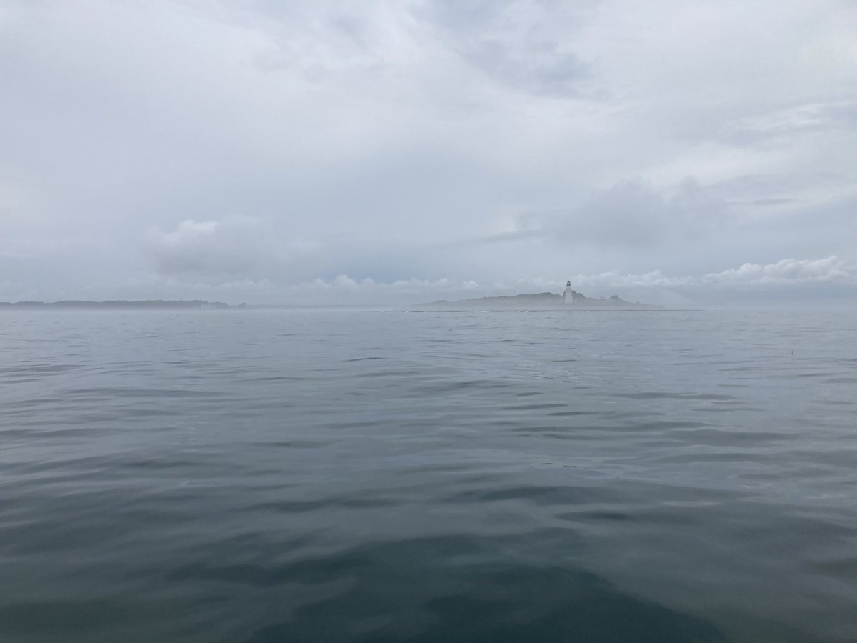 Dr. Tricia Thibodeau tweet media