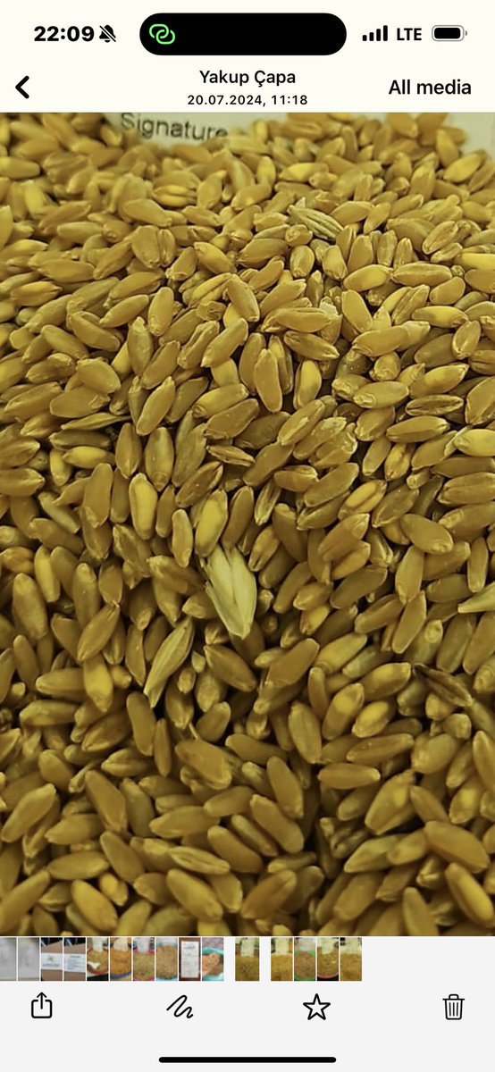 SABAN BUTTANRI tweet media