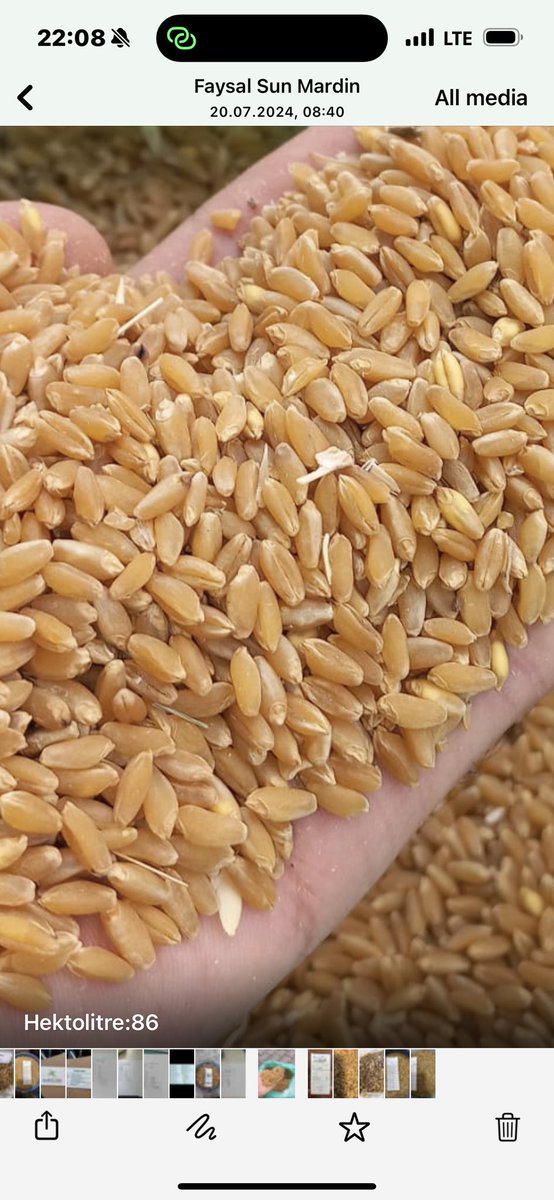 SABAN BUTTANRI tweet media