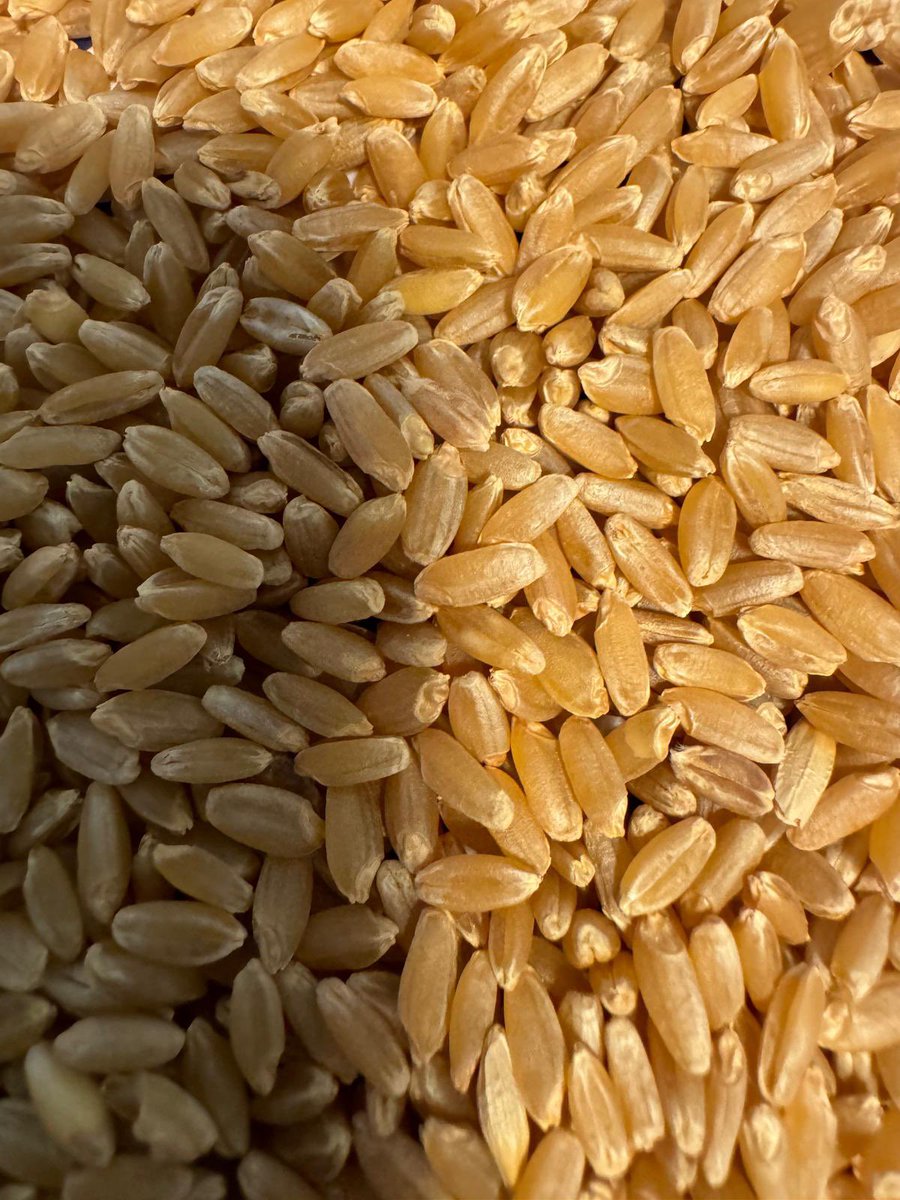 SABAN BUTTANRI tweet media