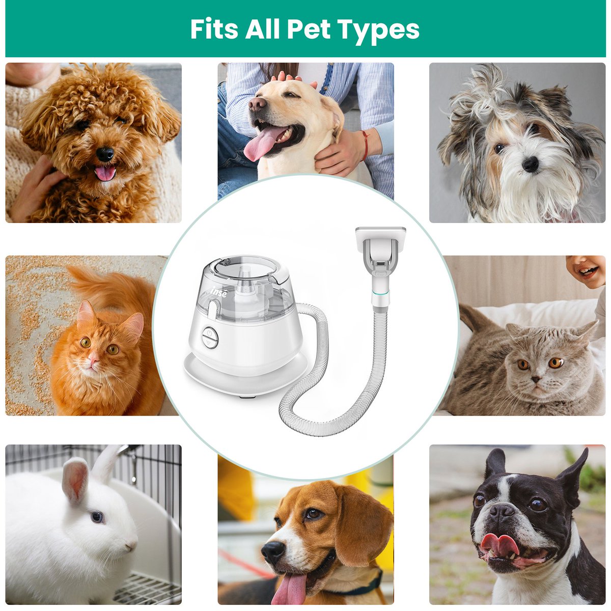Tamurasell's tweet photo. INSE Pet Grooming Kit & Dog Hair Vacuum, Dog Clippers Kit Suction 99% Pet Hair, Large Dust Cup Vacuum with Clipper, 5 Pet Grooming Tools for Shedding Pet Hair---P20 White
Buy now:https://t.co/QA5KB9Ra5G
#Pet #GroomingKit #DogandcatHair #Vacuum https://t.co/Xusk3gFBwc