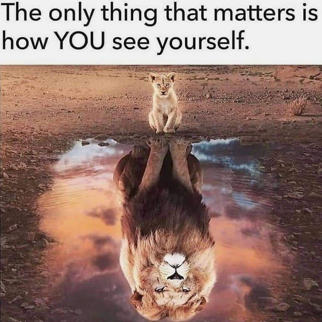 Good Night x Family😴