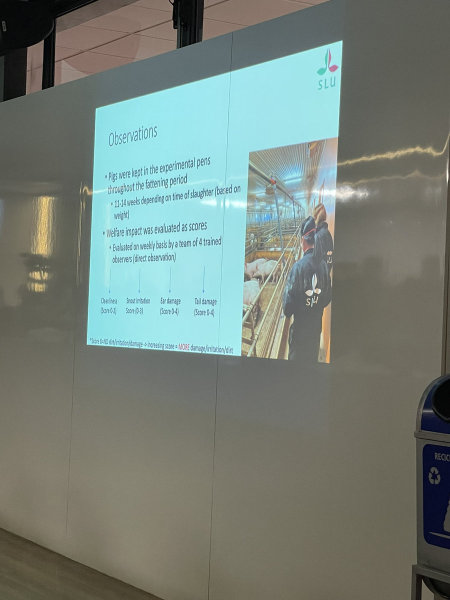 Jennifer Heinsius (@jlheinsius) on Twitter photo Just watched my yearly favorite presenter <a href="/MariaRorvang/">Maria Vilain Rørvang</a>! She discussed olfactory enrichment in pigs! Just watched my yearly favorite presenter <a href="/MariaRorvang/">Maria Vilain Rørvang</a>! She discussed olfactory enrichment in pigs!