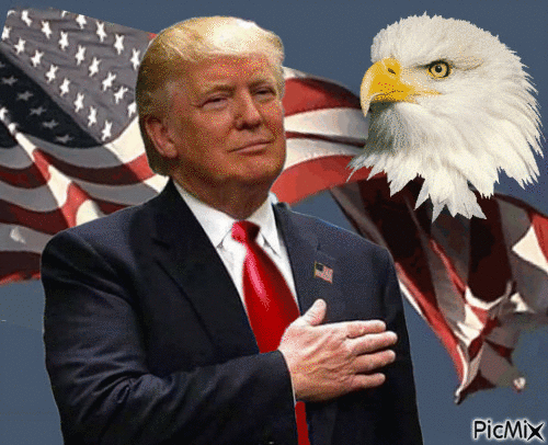 Altcoin Doctor tweet media