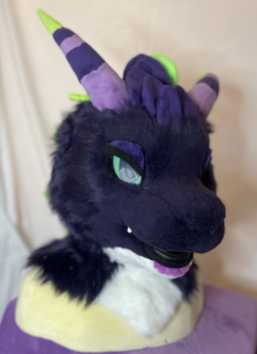 Fin and Fur tweet media