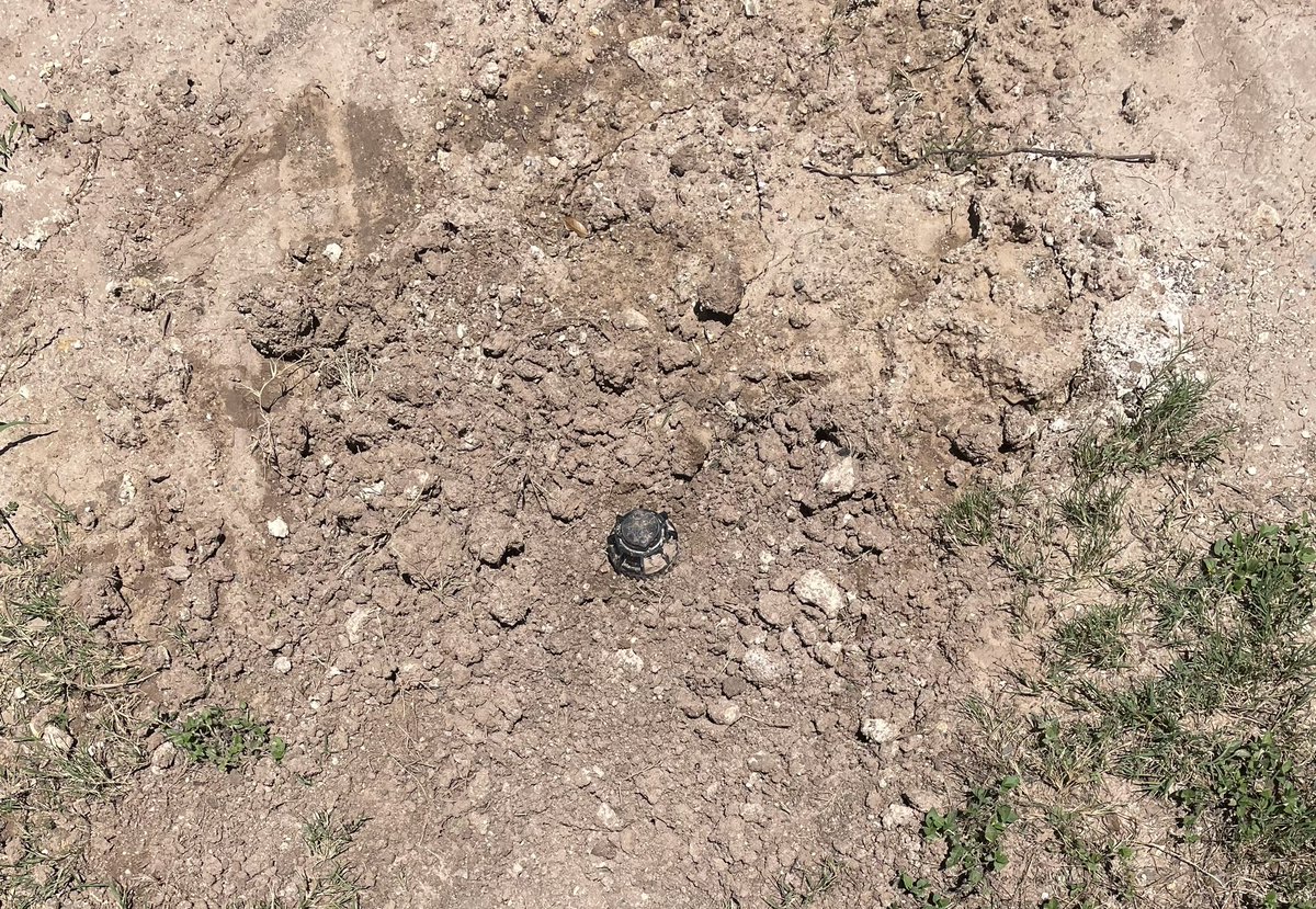 jBakrss's tweet photo. Pulled an Oak Tree stump out of the front yard and replaced several sprinklers this month too. https://t.co/ZS0PfqD2Wj