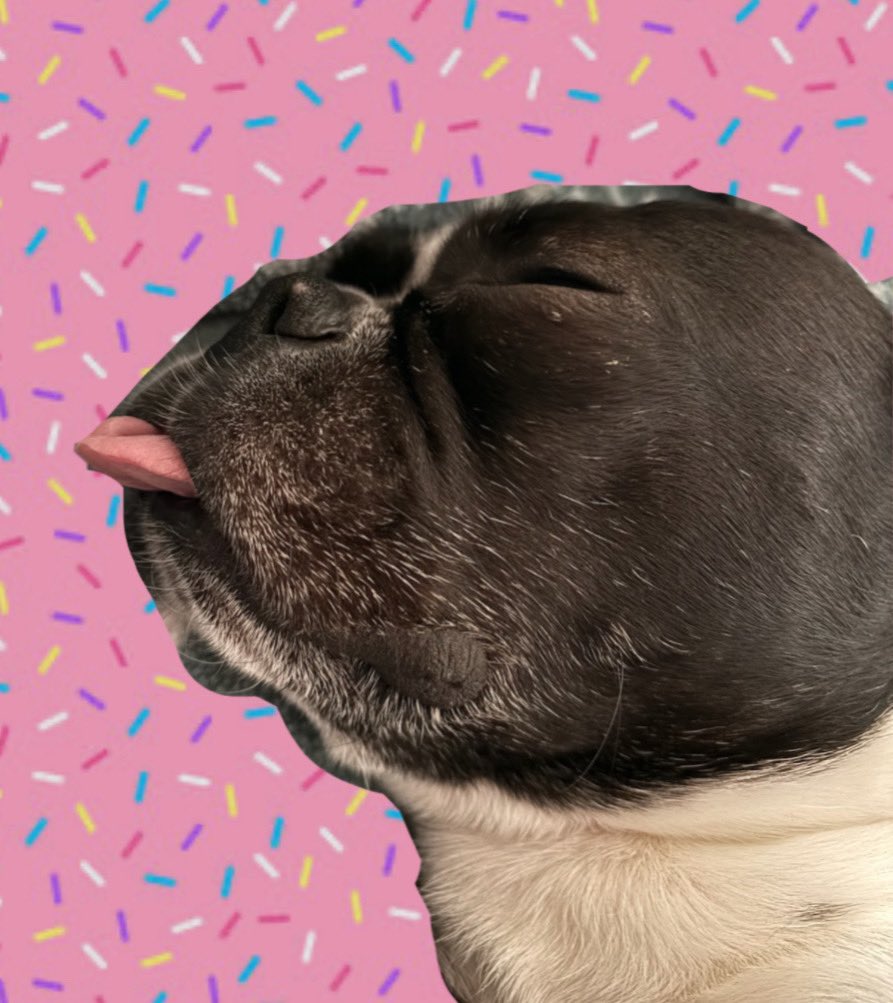 Pawesome_BTBros's tweet photo. Happy #crispy #TongueOutTuesday and #NationalSprinkleDay! Me hopes youses day is extra #sweet! 🍩🧁
#dogsoftwitter #dogsofx #bostonterrier #SprinkleDay #TonguesOut #scribblepugtot https://t.co/kF83UPKDa1