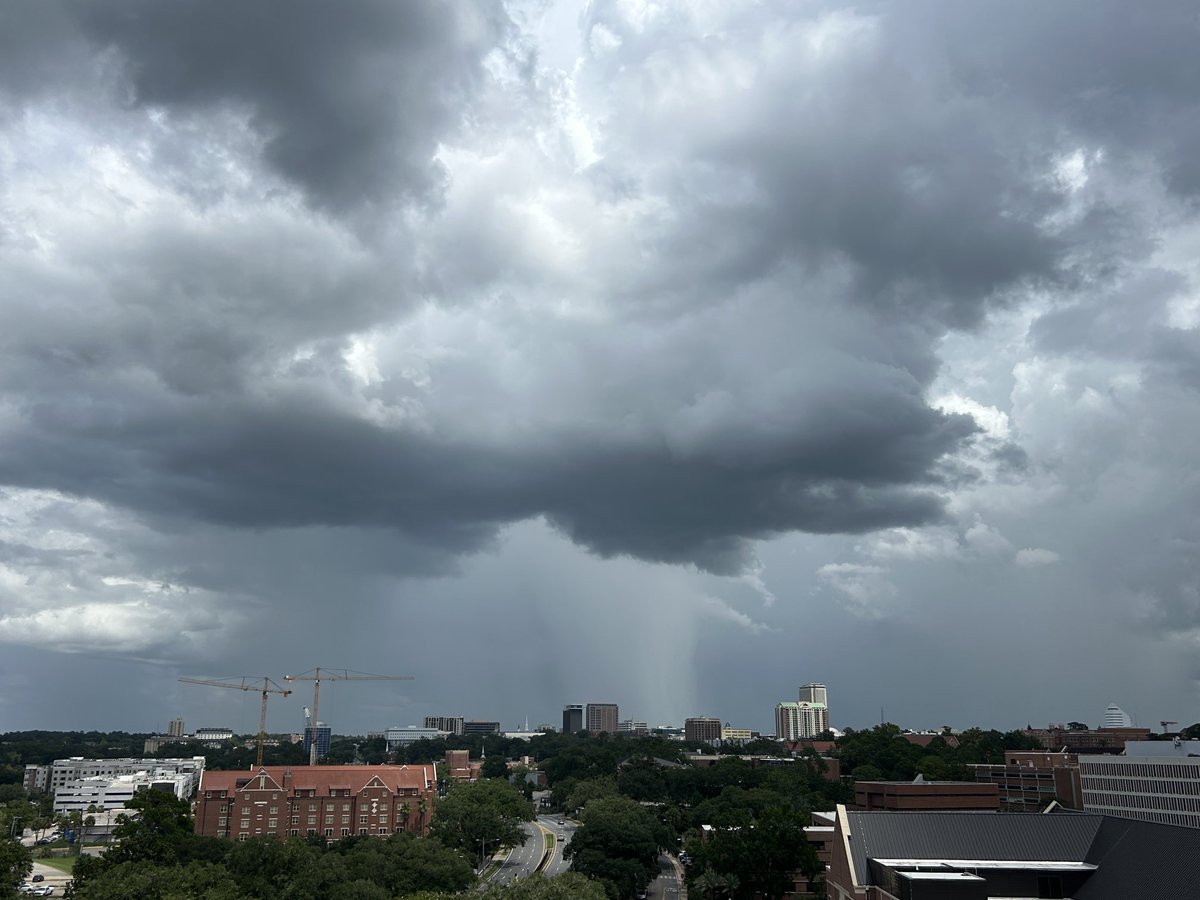 tpsilas18's tweet photo. Another day, another round of afternoon convection from the ⁦@EOAS_Building⁩ #flwx https://t.co/VlfmASvwsv