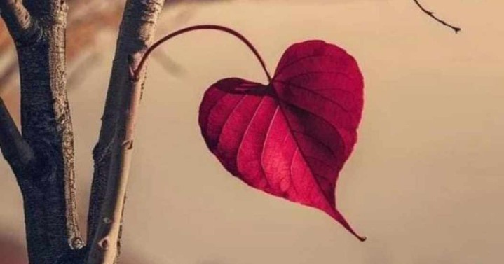 LabanReal's tweet image. I believe in love 💖