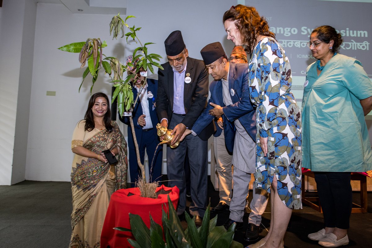 AnuJoshiShresth's tweet photo. Happy to have organized the first-ever mango symposium 2024 in Nepal organized by ICIMOD together with MOALD and R&amp;D Innovative Solutions under HIGRID initiative supported by Australian Government  
https://t.co/J5b58ICxFS https://t.co/qzqBuik20q