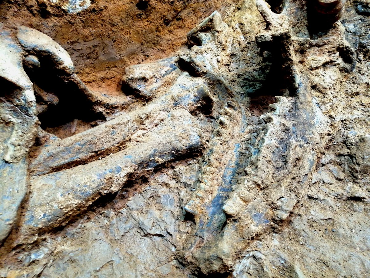 Scavengers ERC tweet media