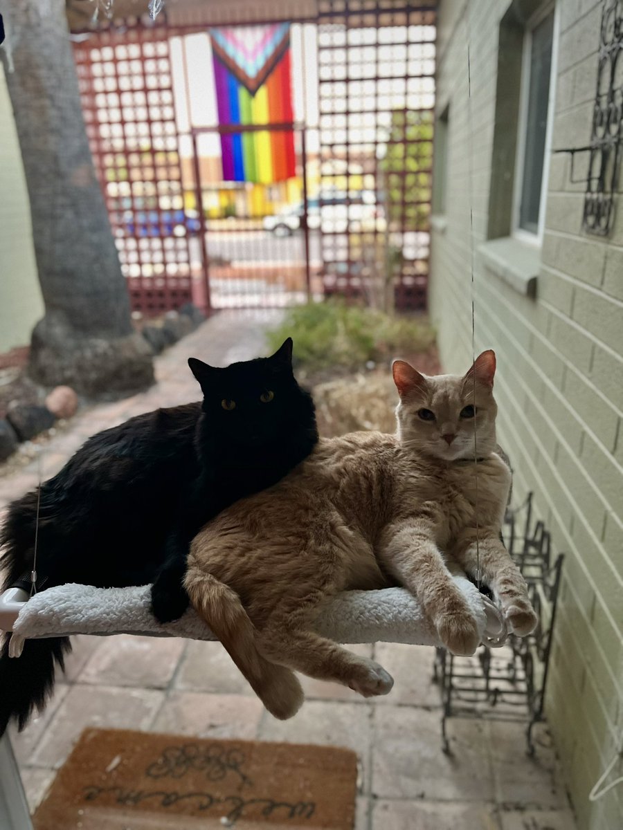 andietits's tweet photo. jimmie went on a date https://t.co/XRh57LTibY