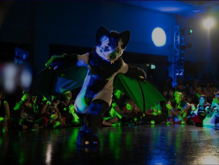 LochNessPup's tweet photo. Found some good pics on fur track!! 

Thankyou to the photographer 💚 https://t.co/0Ipsv6VLDP