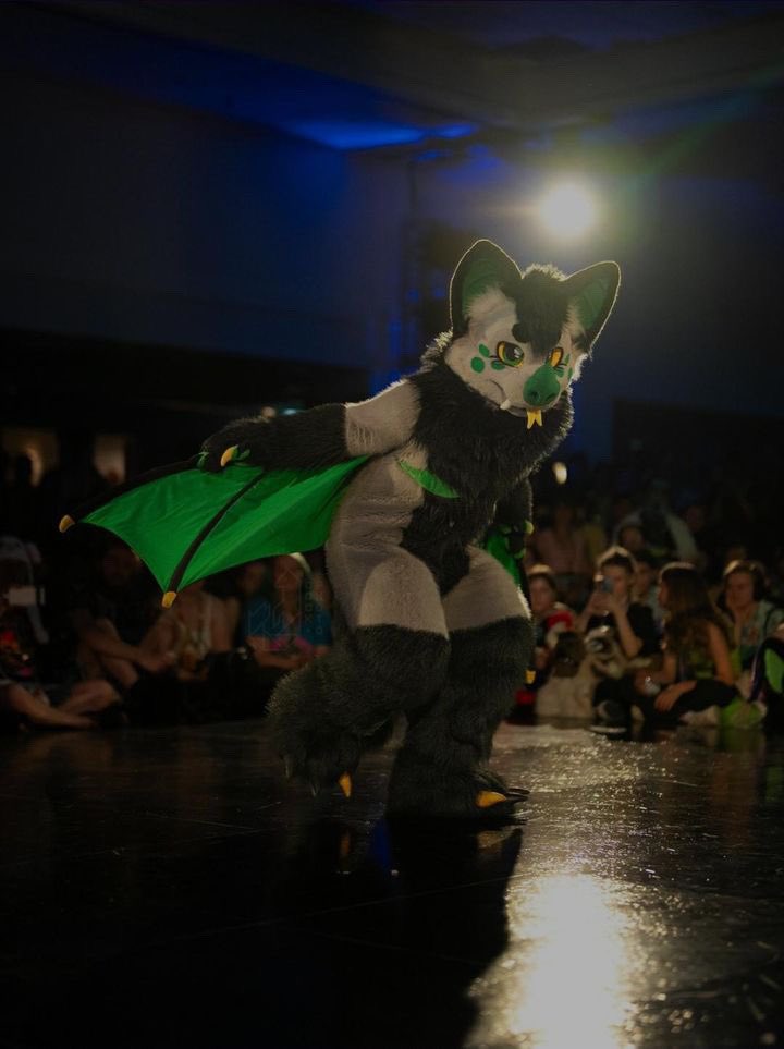 LochNessPup's tweet photo. Found some good pics on fur track!! 

Thankyou to the photographer 💚 https://t.co/0Ipsv6VLDP