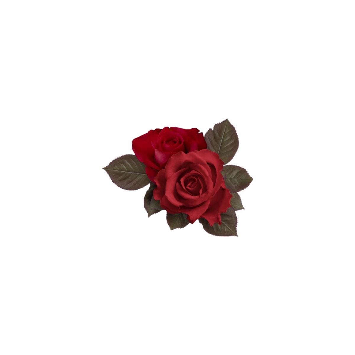 Asher1223's tweet photo. ≡;- ꒰ ° #PROMOTWT ꒱

︶꒦꒷❀ ASHER / SUN ; THEY / THEM ; ENG

#hnktwt #bsdtwt #pjsktwt #pgrtwt 

SHINSHA FAN .ᐟ

♡ OR ↻ TO BE FOLLOWED BACK  ❀꒷꒦︶ https://t.co/7eD0a8PBiL