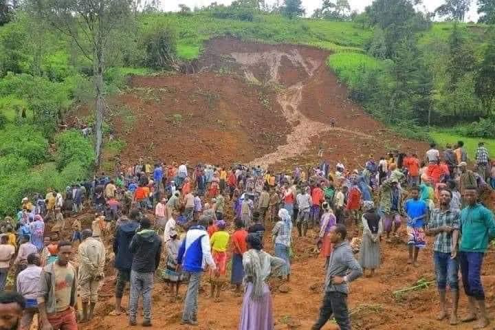 MohammedGenemo's tweet photo. Deeply saddened about the shocking accident resulted fatal to 200 lives in Gofa zone. Condolences to the families of whose loved ones were tragically passed away by the landslides accident. https://t.co/eZ24HCwLAc