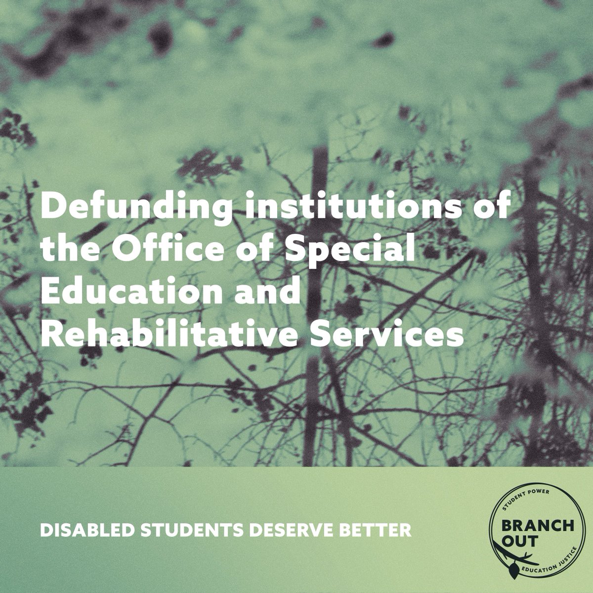 branchoutglobal's tweet photo. From stripping funding guaranteed in the Individuals with Disability Act (IDEA) to abolishing Department of Education, Project 2025 will undo wins the disabled community has fought to secure for decades 🚨 https://t.co/MLu0zaJHQD