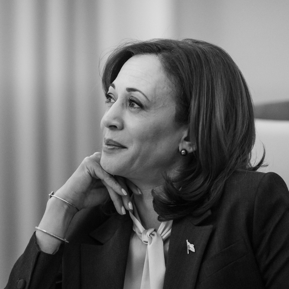 Democrats tweet media