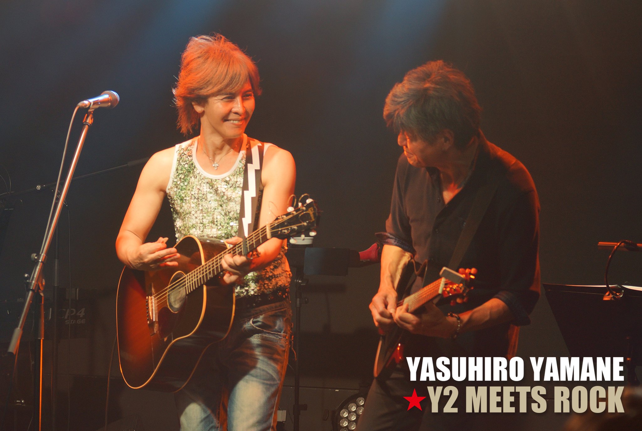 山根康広 10thライブ 本人使用ギターピッグ 山根康広 10thライブ 本人使用ギターピッグ