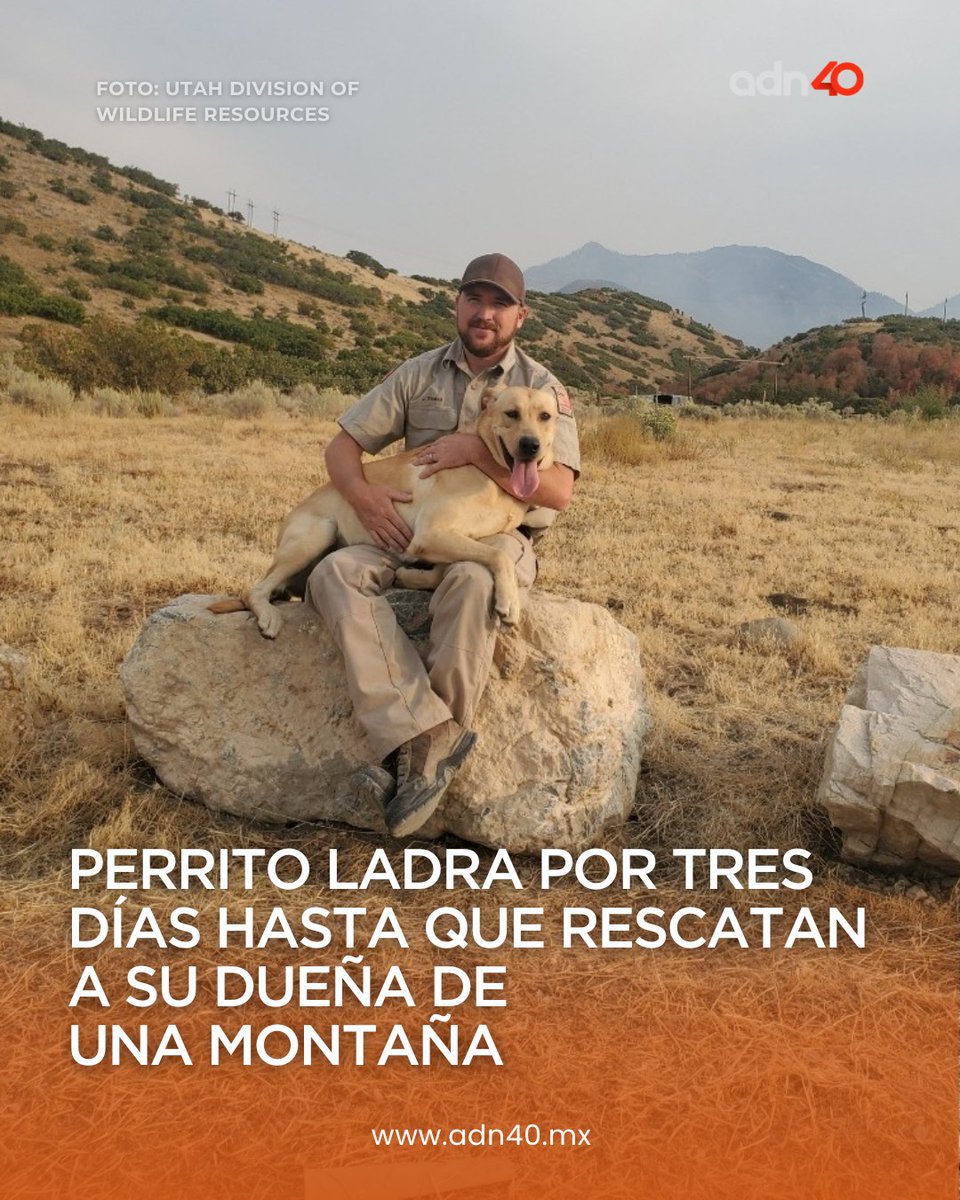 adn Noticias tweet media