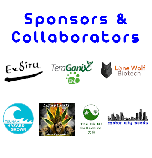MotorCitySeeds's tweet photo. EXSITU #LANDRACE BIODIVERSITY REGENERATION PROJECT = Up &amp; Running!⚡️💦🌱Reversing genetic erosion &amp; restoring #biodiversity of global #cannabis gene pool @ https://t.co/aJ6niwo4RV #TheFutureIsRegenerative #organic #homegrown #cannabisculture #permaculture #cannafam #420 #growlove https://t.co/cMzOvhMJEK