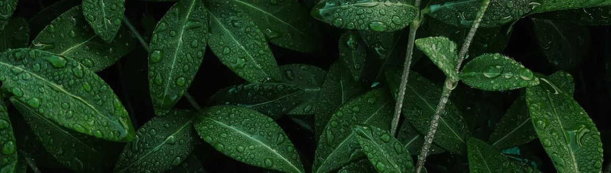 "Potential Energy" has great resources, stories, and projects on climate change. Head over to their website to explore what they have to offer!
buff.ly/3zLbCkY