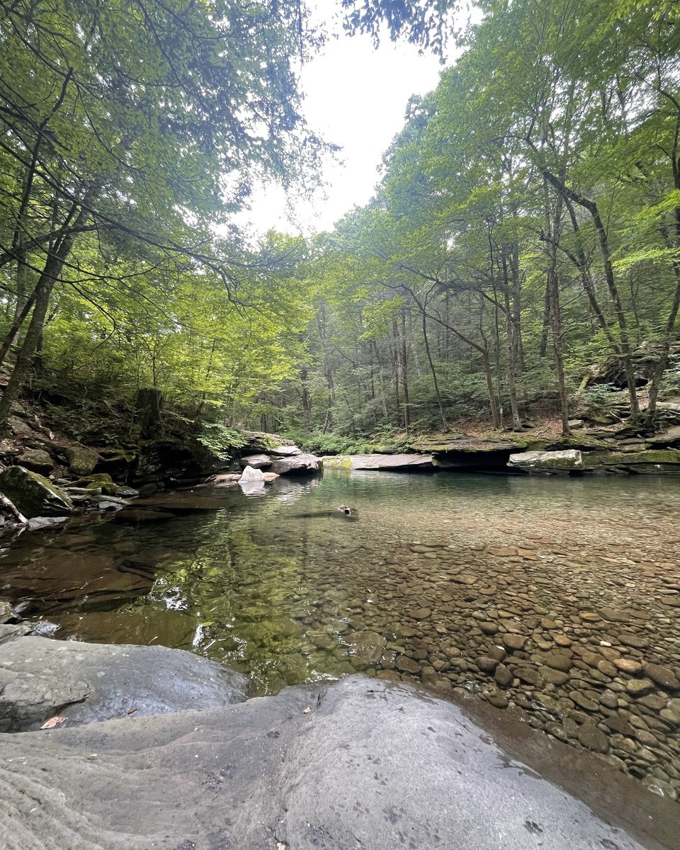 Riverkeeper tweet media