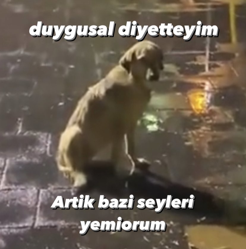 ANLIK (@anlikmod) on Twitter photo 